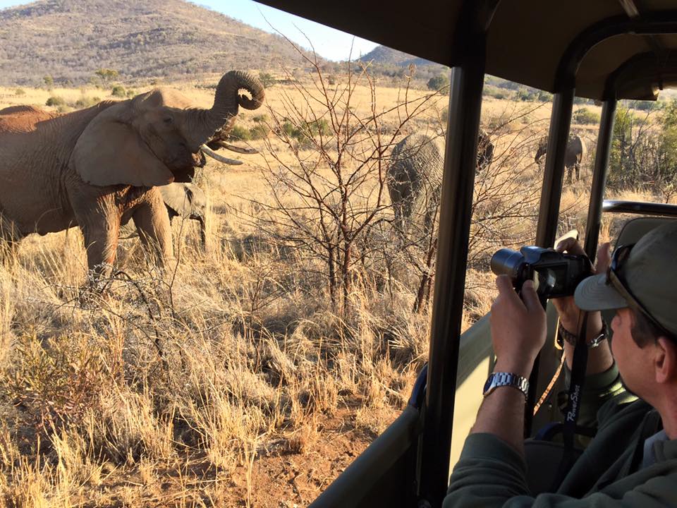 Pilanesberg Game Drives