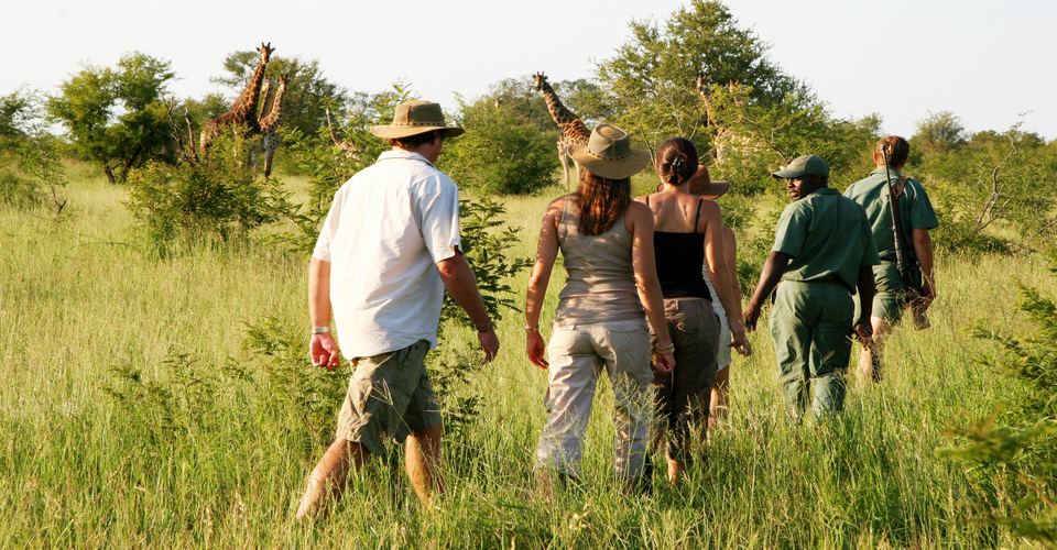 Pilanesberg Walking Safaris