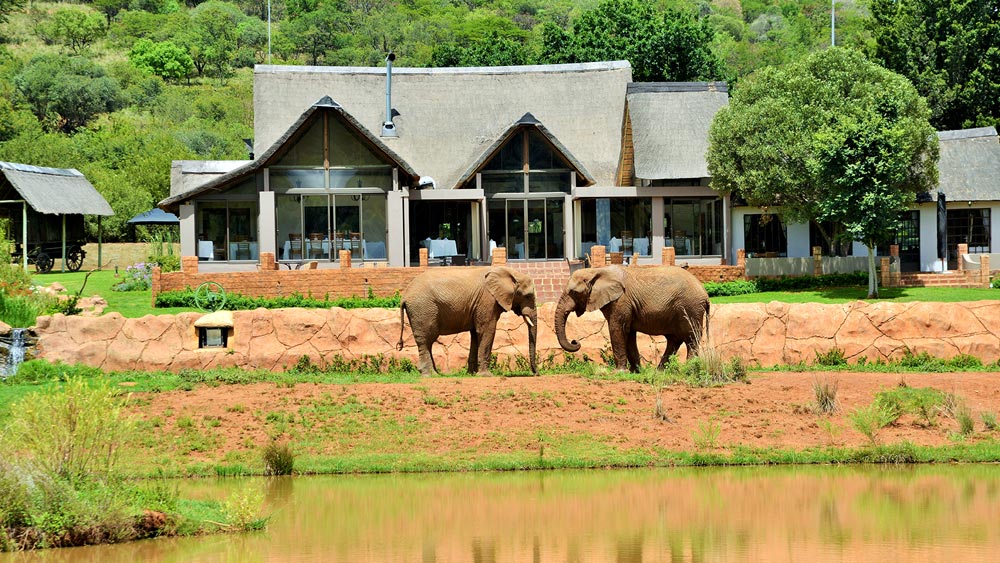 African Hills Safari Lodge