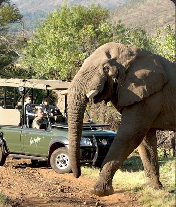 Kwa Maritane Bush Lodge